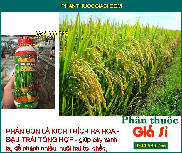 PHÂN BÓN LÁ KÍCH THÍCH RA HOA - ĐẬU TRÁI TỔNG HỢP - phục hồi cây, giúp cây ra hoa đậu trái, lớn trái, lên màu trái chắc sáng, tăng độ ngọt.