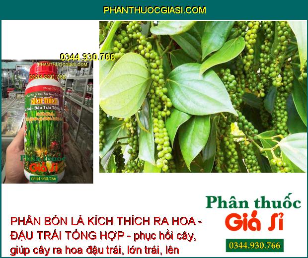 PHÂN BÓN LÁ KÍCH THÍCH RA HOA - ĐẬU TRÁI TỔNG HỢP - phục hồi cây, giúp cây ra hoa đậu trái, lớn trái, lên màu trái chắc sáng, tăng độ ngọt.