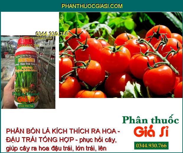 PHÂN BÓN LÁ KÍCH THÍCH RA HOA - ĐẬU TRÁI TỔNG HỢP - phục hồi cây, giúp cây ra hoa đậu trái, lớn trái, lên màu trái chắc sáng, tăng độ ngọt.