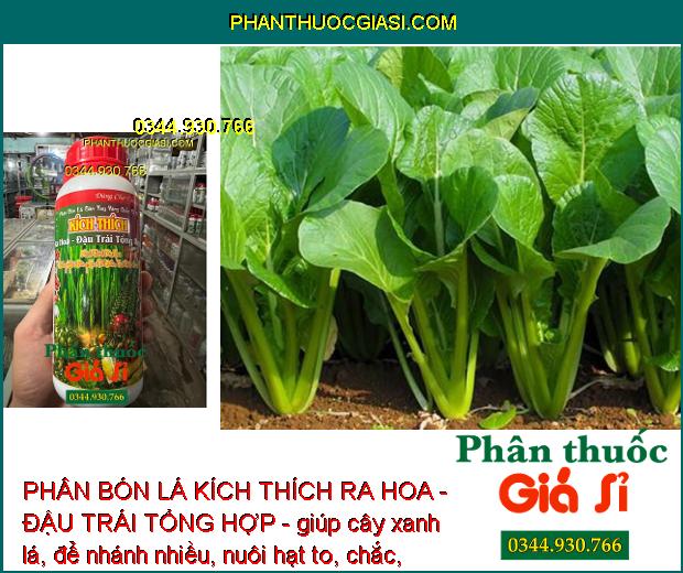 PHÂN BÓN LÁ KÍCH THÍCH RA HOA - ĐẬU TRÁI TỔNG HỢP - phục hồi cây, giúp cây ra hoa đậu trái, lớn trái, lên màu trái chắc sáng, tăng độ ngọt.