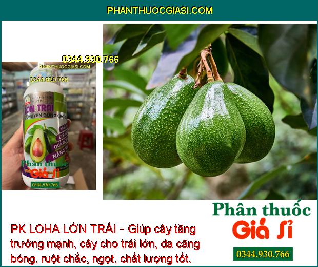 PK LOHA LỚN TRÁI – Giúp cây tăng trưởng mạnh, cây cho trái lớn, da căng bóng, ruột chắc, ngọt, chất lượng tốt.