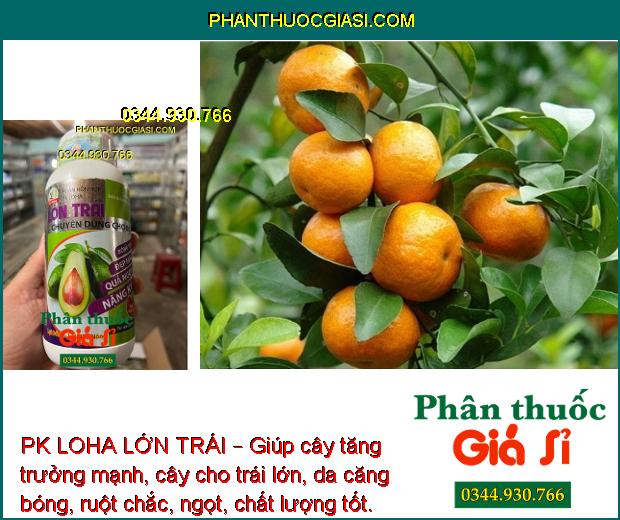 PK LOHA LỚN TRÁI – Giúp cây tăng trưởng mạnh, cây cho trái lớn, da căng bóng, ruột chắc, ngọt, chất lượng tốt.