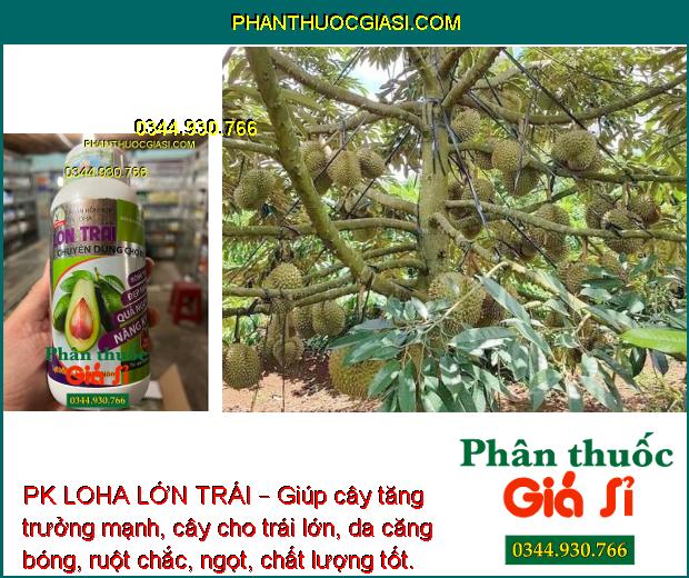 PK LOHA LỚN TRÁI – Giúp cây tăng trưởng mạnh, cây cho trái lớn, da căng bóng, ruột chắc, ngọt, chất lượng tốt.