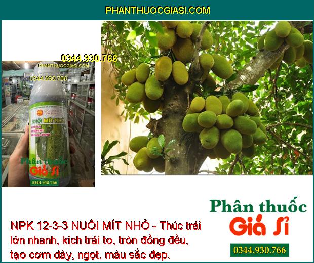 NPK 12-3-3 NUÔI MÍT NHỎ - Thúc trái lớn nhanh, kích trái to, tròn đồng đều, tạo cơm dày, ngọt, màu sắc đẹp.