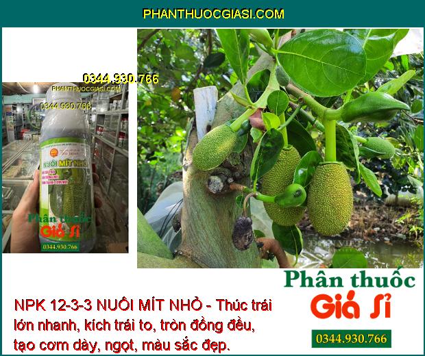 NPK 12-3-3 NUÔI MÍT NHỎ - Thúc trái lớn nhanh, kích trái to, tròn đồng đều, tạo cơm dày, ngọt, màu sắc đẹp.