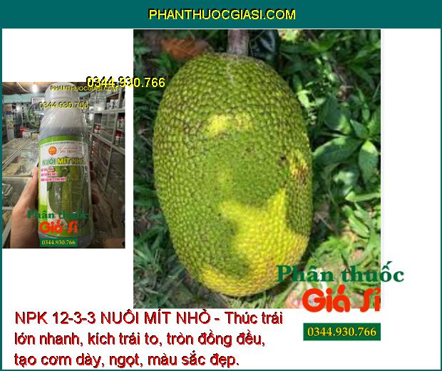 NPK 12-3-3 NUÔI MÍT NHỎ - Thúc trái lớn nhanh, kích trái to, tròn đồng đều, tạo cơm dày, ngọt, màu sắc đẹp.