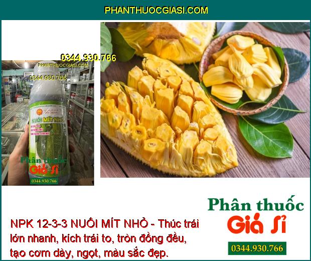 NPK 12-3-3 NUÔI MÍT NHỎ - Thúc trái lớn nhanh, kích trái to, tròn đồng đều, tạo cơm dày, ngọt, màu sắc đẹp.