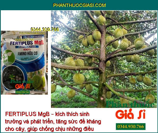 FERTIPLUS MgB – Phân Bón Lá Hữu Cơ Khoáng Tăng - Tỷ Lệ Đậu Trái