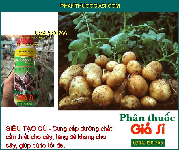 SIÊU TẠO CỦ – Giúp Tạo Củ Nhanh - Tăng Tinh Bột - Tăng Đề Kháng