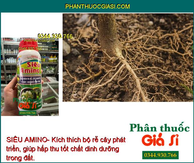 SIÊU AMINO- Kích Thích Ra Rễ - Cây Xanh Tốt - Nhiều Hoa Trái