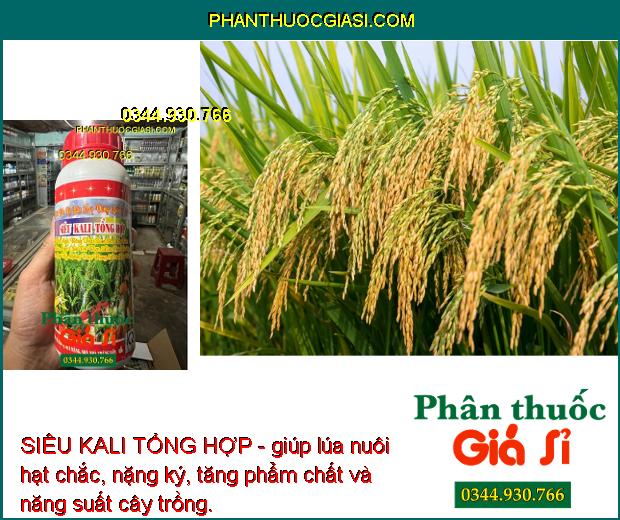 SIÊU KALI TỔNG HỢP - giúp trái mau lớn, trái to đồng đều, chín đều, tăng năng suất cây trồng.