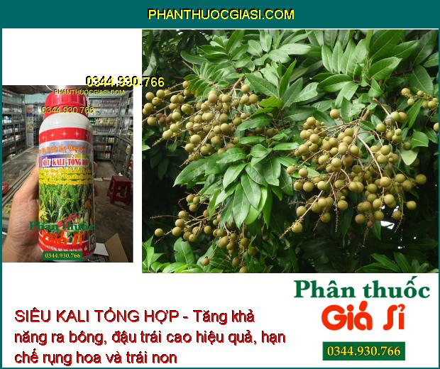 SIÊU KALI TỔNG HỢP - giúp trái mau lớn, trái to đồng đều, chín đều, tăng năng suất cây trồng.
