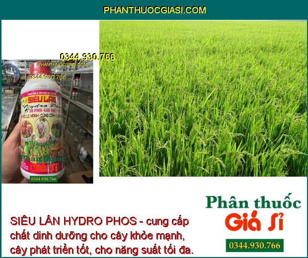 SIÊU LÂN HYDRO PHOS - Hạ Phèn Giải Độc Hữu Cơ - Ra Rễ Mạnh - Cây Khỏe