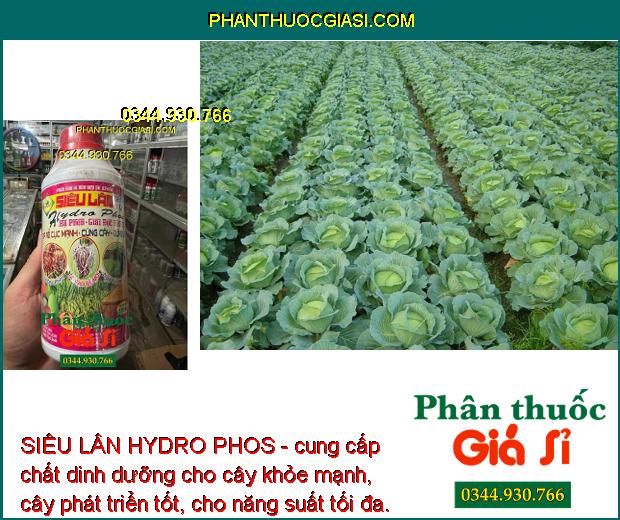 SIÊU LÂN HYDRO PHOS - Hạ Phèn Giải Độc Hữu Cơ - Ra Rễ Mạnh - Cây Khỏe