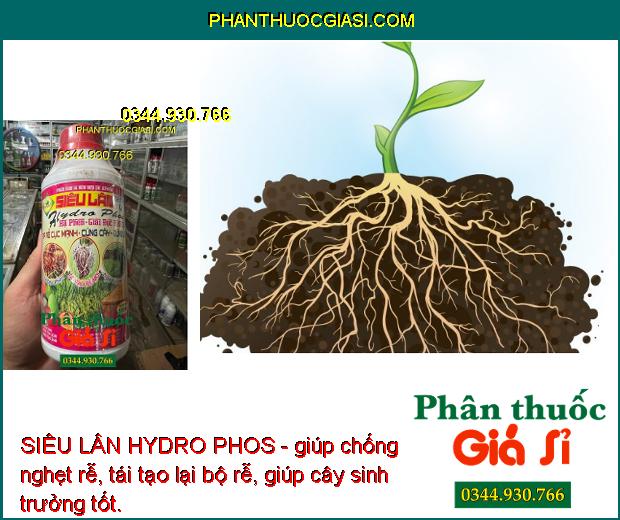 SIÊU LÂN HYDRO PHOS - Hạ Phèn Giải Độc Hữu Cơ - Ra Rễ Mạnh - Cây Khỏe