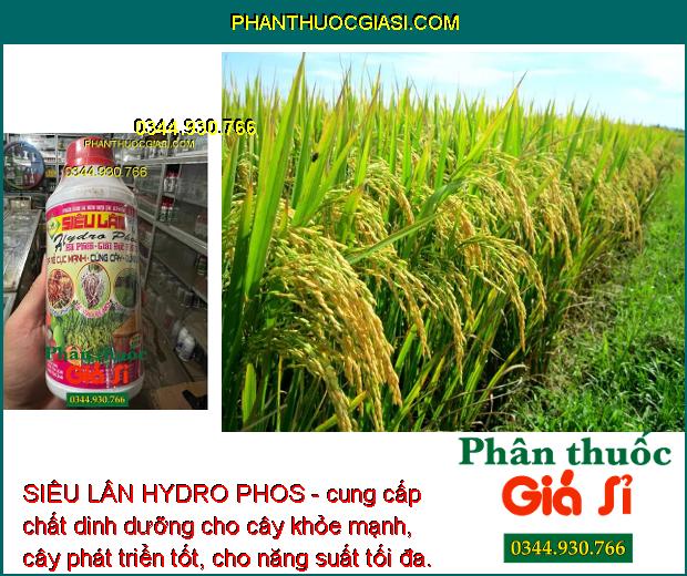 SIÊU LÂN HYDRO PHOS - Hạ Phèn Giải Độc Hữu Cơ - Ra Rễ Mạnh - Cây Khỏe