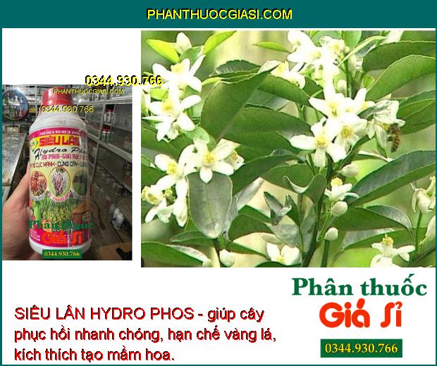 SIÊU LÂN HYDRO PHOS - Hạ Phèn Giải Độc Hữu Cơ - Ra Rễ Mạnh - Cây Khỏe