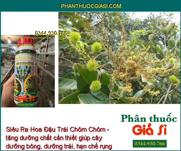 Siêu Ra Hoa Đậu Trái Chôm Chôm- Phân Hóa Mầm Hoa- Mát Bông- Dưỡng Trái