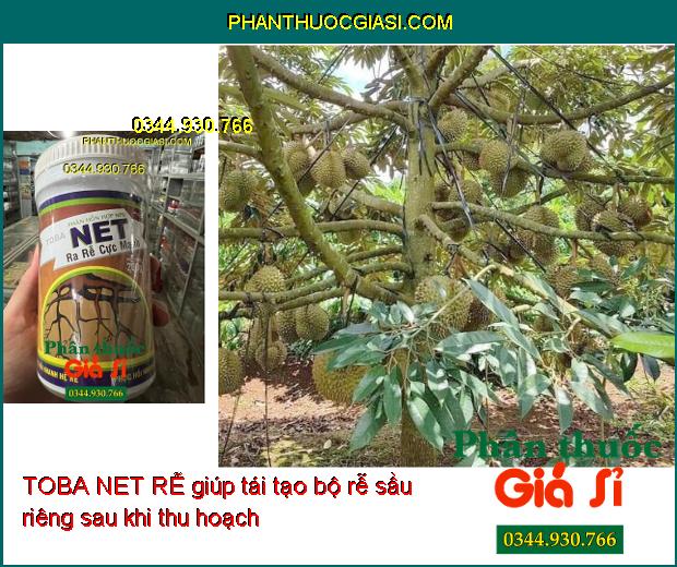 TOBA NET RỄ – KÍCH THÍCH RA RỄ CỰC MẠNH CHO CÂY TRỒNG