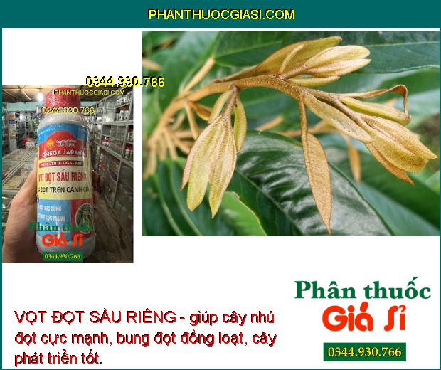 VỌT ĐỌT SẦU RIÊNG - Nhú Đọt Cực Mạnh- Chống Nghẹn Đọt- Đọt Vươn Dài 