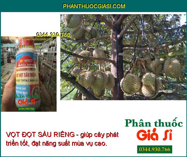 VỌT ĐỌT SẦU RIÊNG - Nhú Đọt Cực Mạnh- Chống Nghẹn Đọt- Đọt Vươn Dài 