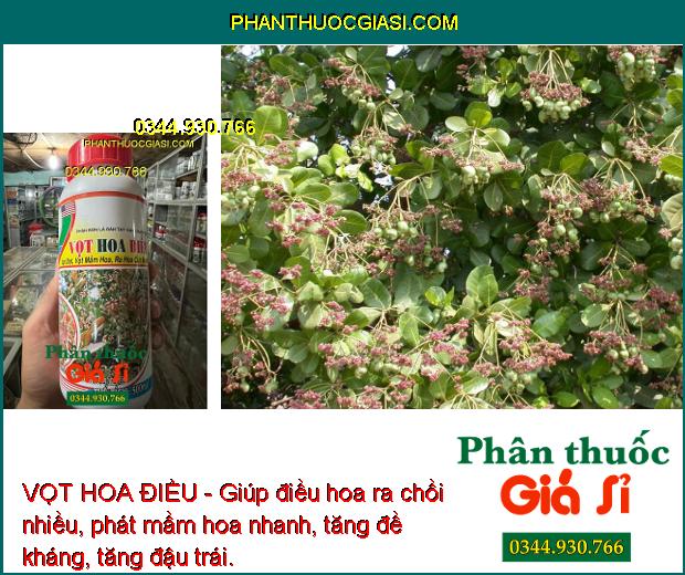 VỌT HOA ĐIỀU- Ra Hoa Cực Mạnh - Chống Nghẹt Bông - Tăng Đậu Trái 