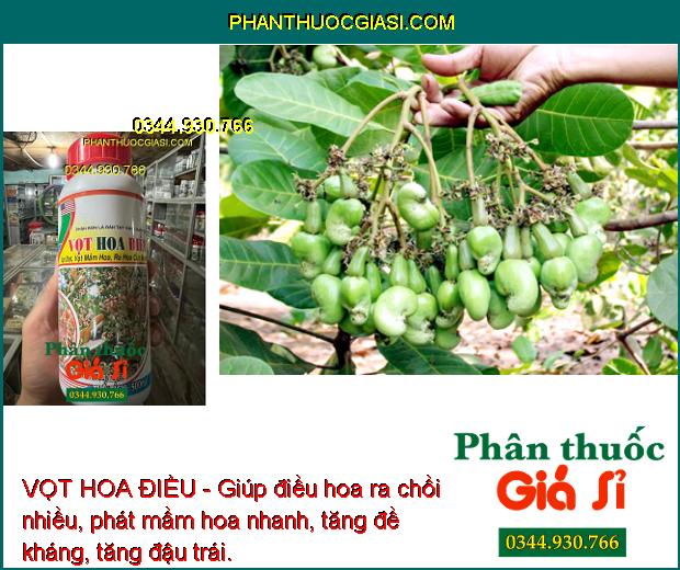 VỌT HOA ĐIỀU- Ra Hoa Cực Mạnh - Chống Nghẹt Bông - Tăng Đậu Trái 