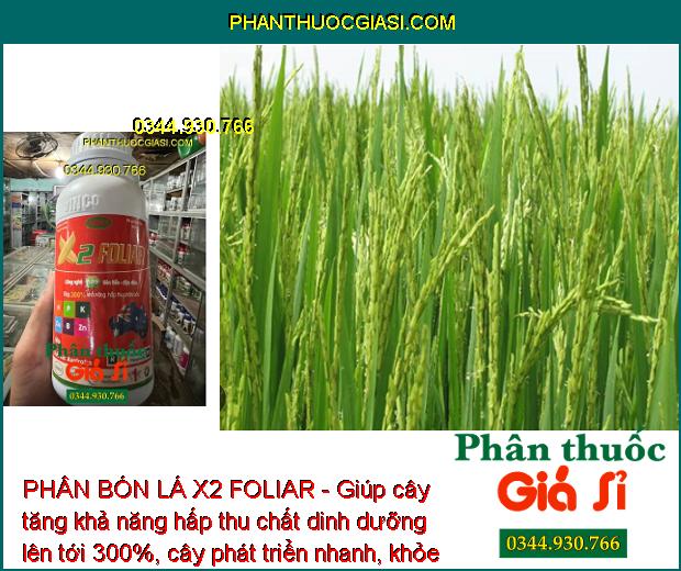 PHÂN BÓN LÁ X2 FOLIAR - Tăng Thụ Phấn - Trái Chín Đều - Chắc Hạt