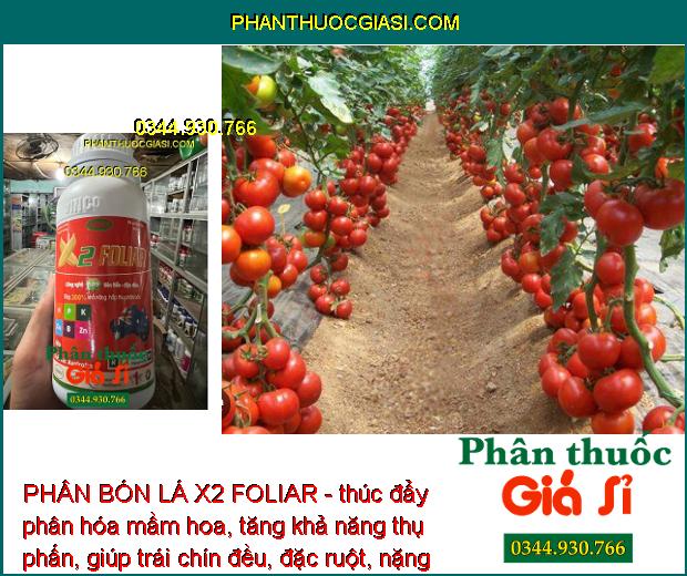 PHÂN BÓN LÁ X2 FOLIAR - Tăng Thụ Phấn - Trái Chín Đều - Chắc Hạt