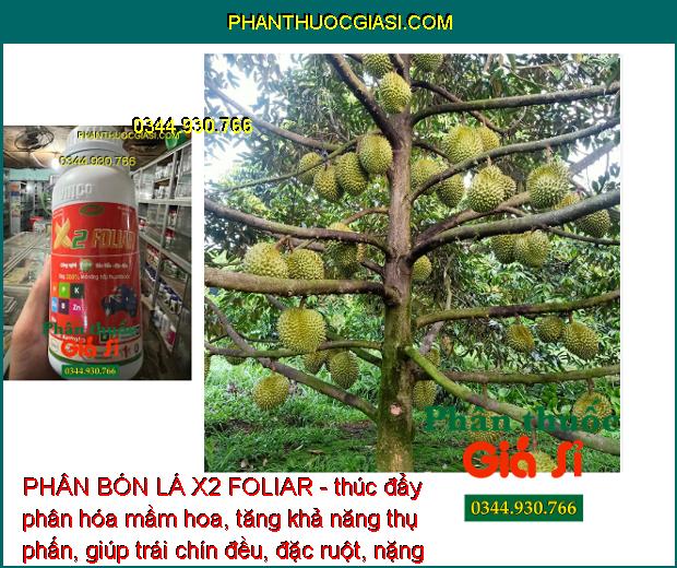 PHÂN BÓN LÁ X2 FOLIAR - Tăng Thụ Phấn - Trái Chín Đều - Chắc Hạt