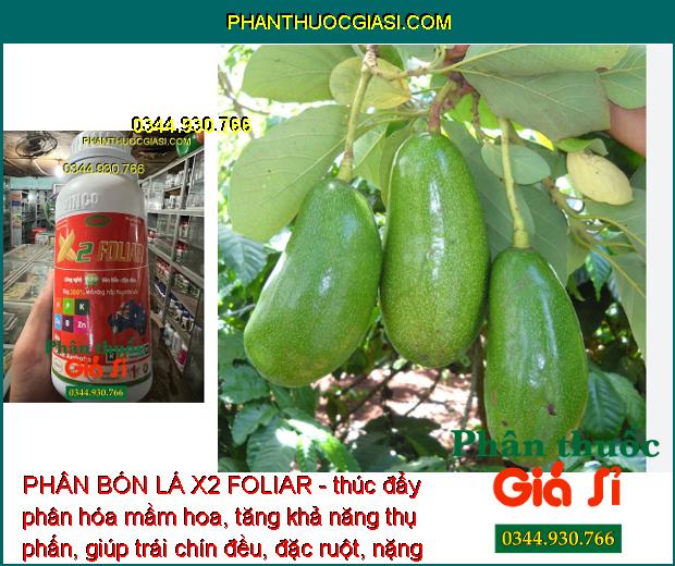 PHÂN BÓN LÁ X2 FOLIAR - Tăng Thụ Phấn - Trái Chín Đều - Chắc Hạt