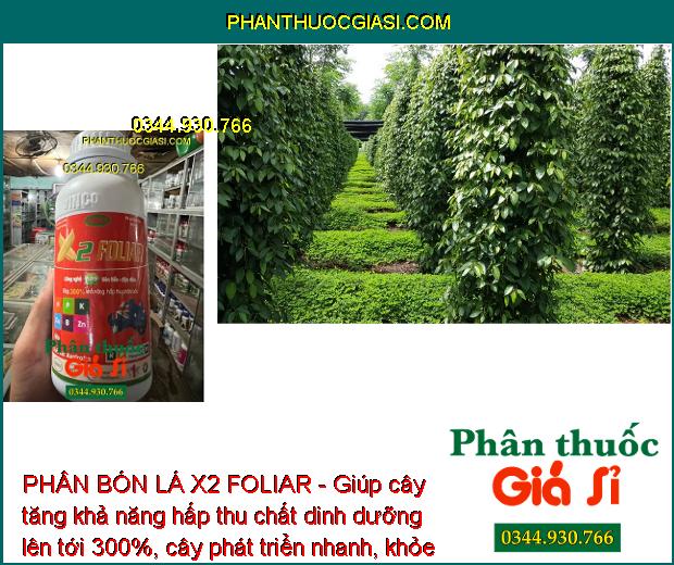 PHÂN BÓN LÁ X2 FOLIAR - Tăng Thụ Phấn - Trái Chín Đều - Chắc Hạt