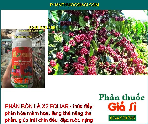 PHÂN BÓN LÁ X2 FOLIAR - Tăng Thụ Phấn - Trái Chín Đều - Chắc Hạt