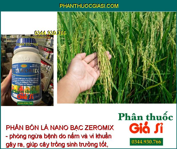 PHÂN BÓN LÁ NANO BẠC ZEROMIX- Ngăn Ngừa Các Bệnh Do Nấm Và Vi Khuẩn Gây Ra