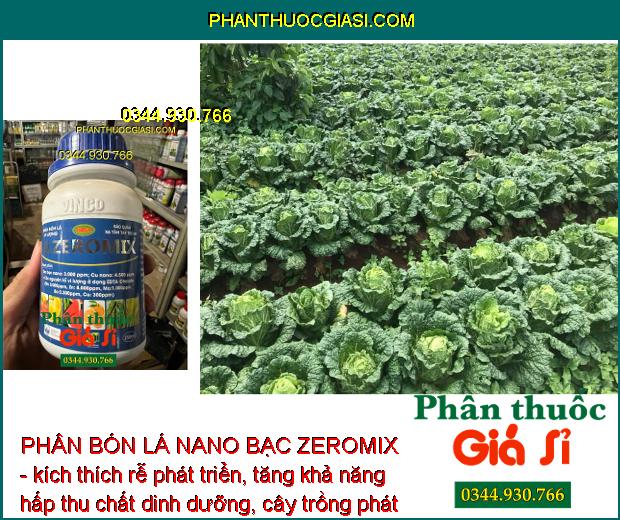 PHÂN BÓN LÁ NANO BẠC ZEROMIX- Ngăn Ngừa Các Bệnh Do Nấm Và Vi Khuẩn Gây Ra