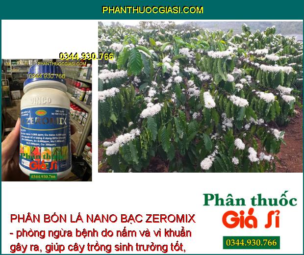 PHÂN BÓN LÁ NANO BẠC ZEROMIX- Ngăn Ngừa Các Bệnh Do Nấm Và Vi Khuẩn Gây Ra