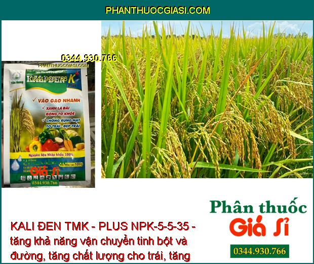 KALI ĐEN TMK - PLUS NPK-5-5-35 - Xanh Lá Đài - Chống Rụng Hạt - Vào Gạo Nhanh