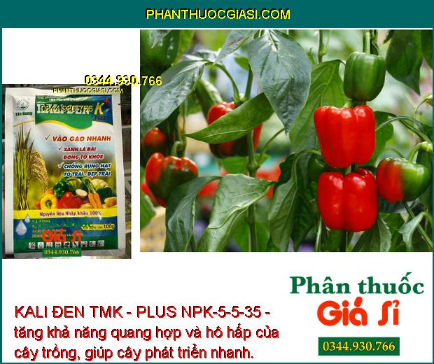 KALI ĐEN TMK - PLUS NPK-5-5-35 - Xanh Lá Đài - Chống Rụng Hạt - Vào Gạo Nhanh