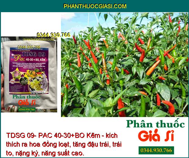 TDSG 09- PAC 40-30+BO Kẽm - Chống Nghẹn Hoa - Ra Hoa Đồng Loạt - Tăng Tỷ Lệ Đậu Trái