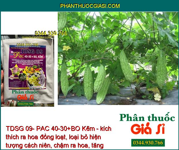 TDSG 09- PAC 40-30+BO Kẽm - Chống Nghẹn Hoa - Ra Hoa Đồng Loạt - Tăng Tỷ Lệ Đậu Trái