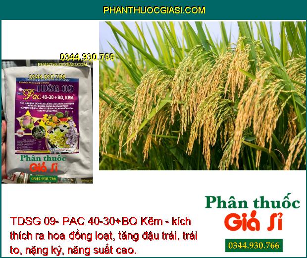 TDSG 09- PAC 40-30+BO Kẽm - Chống Nghẹn Hoa - Ra Hoa Đồng Loạt - Tăng Tỷ Lệ Đậu Trái