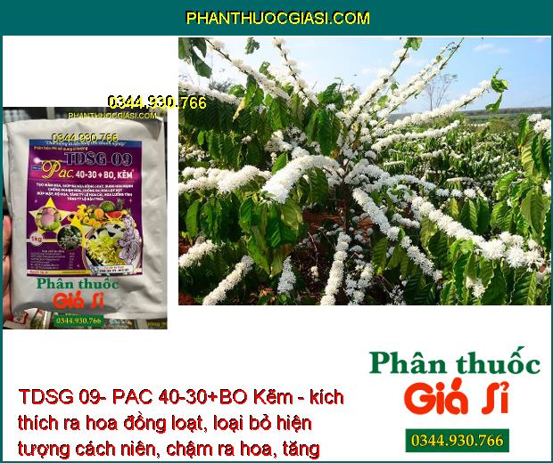 TDSG 09- PAC 40-30+BO Kẽm - Chống Nghẹn Hoa - Ra Hoa Đồng Loạt - Tăng Tỷ Lệ Đậu Trái