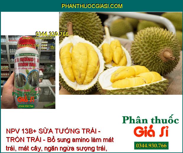 NPV 13B+ SỬA TƯỚNG TRÁI - TRÒN TRÁI - Chuyên Dùng Cho Sầu Riêng