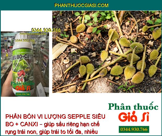 PHÂN BÓN VI LƯỢNG SEPPLE SIÊU BO+CANXI – CHỐNG KHÔ BÔNG - RỤNG BÔNG - NỨT THÂN - NỨT TRÁI