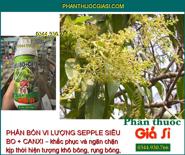 PHÂN BÓN VI LƯỢNG SEPPLE SIÊU BO+CANXI – CHỐNG KHÔ BÔNG - RỤNG BÔNG - NỨT THÂN - NỨT TRÁI