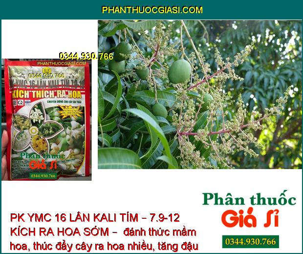 PK YMC 16 LÂN KALI TÍM – 7.9-12 KÍCH RA HOA SỚM – ĐÁNH THỨC MẦM HOA