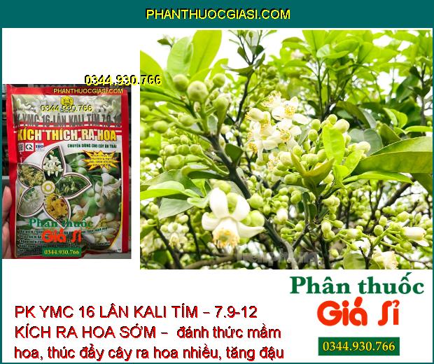 PK YMC 16 LÂN KALI TÍM – 7.9-12 KÍCH RA HOA SỚM – ĐÁNH THỨC MẦM HOA