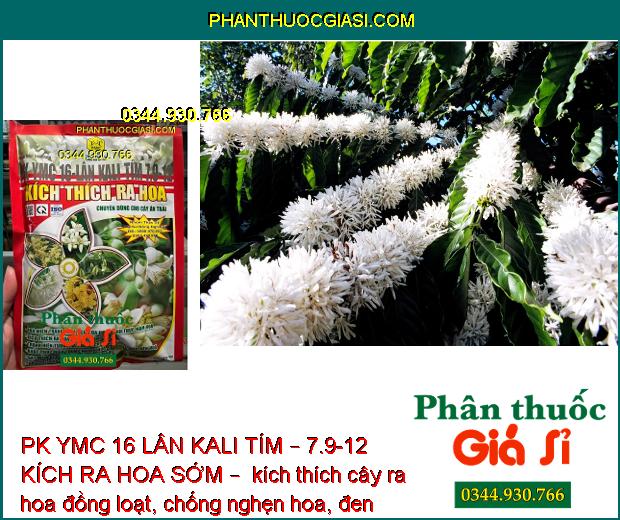 PK YMC 16 LÂN KALI TÍM – 7.9-12 KÍCH RA HOA SỚM – ĐÁNH THỨC MẦM HOA