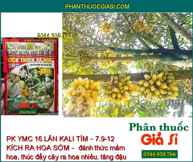 PK YMC 16 LÂN KALI TÍM – 7.9-12 KÍCH RA HOA SỚM – ĐÁNH THỨC MẦM HOA