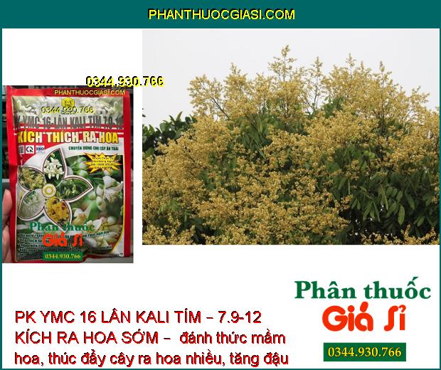 PK YMC 16 LÂN KALI TÍM – 7.9-12 KÍCH RA HOA SỚM – ĐÁNH THỨC MẦM HOA